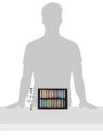 Rembrandt Soft Pastels - Juego de 30 palos para paisaje - Arteztik
