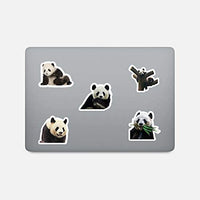 DOFE 50 pegatinas con diseño de panda, resistentes al agua, pegatinas láser para coche, 50 unidades, pegatinas para ordenador portátil, motocicleta bicicleta equipaje, parches de graffiti para adolescentes (50 unidades Lovely Panda) - Arteztik
