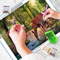 Kit de pintura NEILDEN 5D de diamantes, para adultos, para trabajos manuales, pintura de bordado con diamantes de imitación, pintura de punto de cruz, manualidades para decorar la pared del hogar, 30x40 cm - Arteztik
