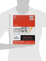Canson Foundation Series Bristol Paper Pad, papel de alto contraste para lápiz, acabado de vellum, 100 libras, - Arteztik
