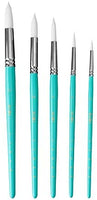 HIMI - Juego de 5 pinceles de acuarela para pintura acrílica de acuarela para rostro y cuerpo, ideal como regalo, para niños y adultos, color rosa, pinceles - Arteztik
