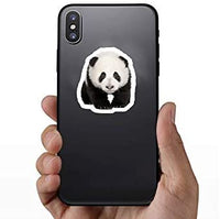 DOFE 50 pegatinas con diseño de panda, resistentes al agua, pegatinas láser para coche, 50 unidades, pegatinas para ordenador portátil, motocicleta bicicleta equipaje, parches de graffiti para adolescentes (50 unidades Lovely Panda) - Arteztik
