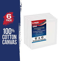 US Art suministro gratuito 6 x 6 inch ácido calidad profesional Perfil lona 6-Pack – 3/4 12 onza PRIMED Gesso – (1 Full Caso de 6 Individuales Lienzos) - Arteztik
