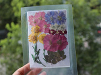 Surtido de flores secas de la naturaleza, flores prensadas, hojas mezcladas, paquete de adornos para álbumes de recortes para bricolaje, adornos de resina, manualidades, velas - Arteztik
