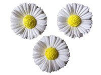 50 piezas decoradas en Tailandia. Daisy - Mini flores de papel de morera de 2 capas para manualidades, álbumes de recortes, tarjetas de boda, accesorios, adornos, tamaño 1.2 in - Arteztik
