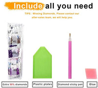 Kit completo de pintura de diamante para adultos y niños, con piedras redondas de perforación completa, para decoración de pared del hogar (11.8 x 15.7 in) - Arteztik
