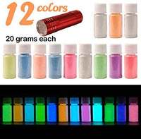 SEISSO - Polvo de pigmento oscuro con lámpara UV luminoso de noche en polvo no tóxico, seguridad 12 colores 0.7 fl oz resina epoxi colorantes pigmentos para bricolaje lima, pintura acrílica, arte de uñas, pintura, manualidades - Arteztik
