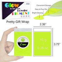 Polvo de pigmento que brilla en la oscuridad – Pigmento luminoso de resina epoxi en polvo para bricolaje Slime Kit – Seguro para la piel de larga duración, tinte de color que brilla por sí mismo para pintura acrílica, arte de uñas, pintura, manualidades – - Arteztik
