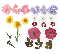 Surtido de flores secas de la naturaleza, flores prensadas, hojas mezcladas, paquete de adornos para álbumes de recortes para bricolaje, adornos de resina, manualidades, velas - Arteztik
