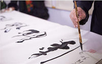 Shanlian Hubi - Juego de pinceles de caligrafía china para principiantes - Arteztik
