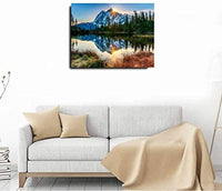 Pintura por números para principiantes adultos, 16.0 x 20.0 in, kit de pintura acrílica de rosa roja y amarilla sobre lienzo con 3 pinceles de pintura para decoración de pared del hogar - Arteztik
