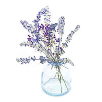 AUEAR, 16 piezas flores secas reales de salvia, flores secas naturales, flores prensadas para álbumes de recortes, adornos - Arteztik
