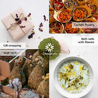 Hierbas secas y flores para hechizos de brujería – Paquete de 18 bolsas de flores secas a granel – Ideal para hacer velas DIY Kit Jabón Aceite Esencial Resina Labial Brillo Incluye Pétalos de Rosa de Lavanda Jazmín - Arteztik
