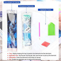 XPCARE Juego de pintura de diamante, redondo completo taladro DIY 5D pintura de diamante por número Kits Luna para decoración de pared hogar adultos y niños 12.0 x 12.0 in, HC-502 - Arteztik
