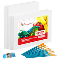 Damisos - Juego de 12 tablas de lienzo para pintura de 7.9 x 9.8 in, para pintura acrílica y óleo para niños principiantes y artistas, juego de pinceles de pintura + libro electrónico con ideas inspiradoras de pintura por Damisos - Arteztik
