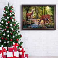 Kit de pintura NEILDEN 5D de diamantes, para adultos, para trabajos manuales, pintura de bordado con diamantes de imitación, pintura de punto de cruz, manualidades para decorar la pared del hogar, 30x40 cm - Arteztik
