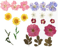 Surtido de flores secas de la naturaleza, flores prensadas, hojas mezcladas, paquete de adornos para álbumes de recortes para bricolaje, adornos de resina, manualidades, velas - Arteztik
