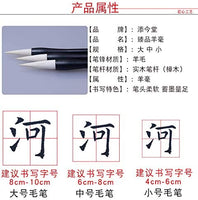Juego de pinceles de mango de madera para caligrafía china en caja para aprendizaje de caligrafía - Arteztik
