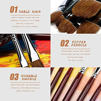 Juego de pinceles para artistas de pelo rojo y puro, para pintura acrílica de acuarela, mango de madera, 6 unidades - Arteztik
