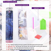 XPCARE Juego de pintura de diamante, redondo completo taladro DIY 5D pintura de diamante por número Kits Luna para decoración de pared hogar adultos y niños 12.0 x 12.0 in, HC-502 - Arteztik
