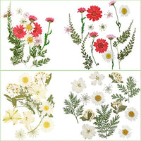 Olerqzer - Juego de 80 flores secas para resina, diseño de flores, para manualidades, manualidades, joyas, álbumes de recortes, accesorios de arte - Arteztik
