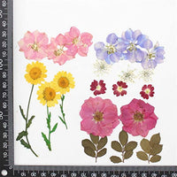Surtido de flores secas de la naturaleza, flores prensadas, hojas mezcladas, paquete de adornos para álbumes de recortes para bricolaje, adornos de resina, manualidades, velas - Arteztik
