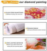 Kit completo de pintura de diamante para adultos y niños, con piedras redondas de perforación completa, para decoración de pared del hogar (11.8 x 15.7 in) - Arteztik
