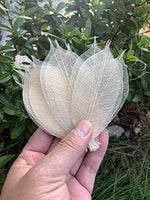 WASUWAN SHOP - 100 hojas de esqueleto de goma natural para álbumes de recortes, manualidades y manualidades, diseño de árbol de recortes - Arteztik
