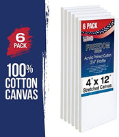 U.S. Art Supply - Lienzo estirado de 3.9 x 11.8 in, 12 onzas, imprimado, paquete de 6, profesional blanco en blanco de 0.7 in, perfil pesado, Gesso sin ácidos, paquete a granel, pintura, vertido de acrílico, pintura al óleo - Arteztik
