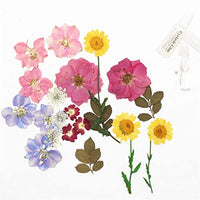 Surtido de flores secas de la naturaleza, flores prensadas, hojas mezcladas, paquete de adornos para álbumes de recortes para bricolaje, adornos de resina, manualidades, velas - Arteztik
