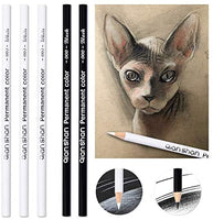 Art Supplies Juego de lápices de grafito y carbón para estudiantes y artistas - Arteztik
