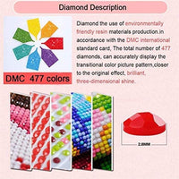 SUNKOO - Kit de pintura de diamante de Navidad para adultos, pintura de perforación completa con diamantes de imitación, decoración de pared para el hogar, feliz año nuevo, 12.0 x 16.0 in - Arteztik

