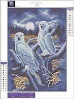 Kit completo de pintura de diamantes 5D redondos por números, doble loro con diamantes de imitación bordados, punto de cruz, suministros de manualidades para decoración de pared en el hogar, oficina, 12 x 16 pulgadas - Arteztik
