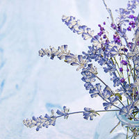 AUEAR, 16 piezas flores secas reales de salvia, flores secas naturales, flores prensadas para álbumes de recortes, adornos - Arteztik
