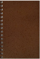 Strathmore 300 Series Bristol visual diario, 5.5"x8" Vellum, Bound de alambre, 24 hojas - Arteztik
