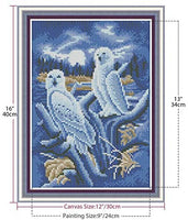 Kit completo de pintura de diamantes 5D redondos por números, doble loro con diamantes de imitación bordados, punto de cruz, suministros de manualidades para decoración de pared en el hogar, oficina, 12 x 16 pulgadas - Arteztik
