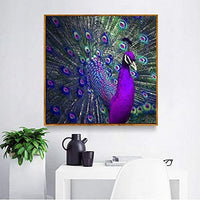 Kit de pintura de diamantes, accesorios de arte, con diamantes, caja de herramientas para bolígrafos, pegamento 5D DIY Gema Arte y manualidades Puzzle para adultos y niños, bordado de joyas para decoración de pared y regalo - Arteztik
