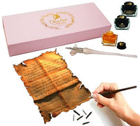 Daveliou - Juego de bolígrafos de caligrafía, 17 piezas, cristal azul y bolígrafos de madera, 10 plumas y 4 tintas, control superior - Arteztik
