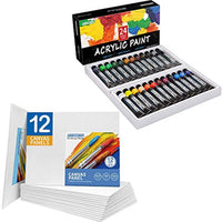 FIXSMITH - Juego de 12 paneles de pintura acrílica de calidad de artista, 24 colores/tubos (0.7 fl oz) - Arteztik
