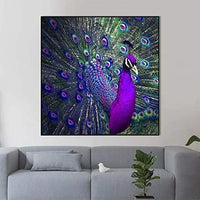 Kit de pintura de diamante para bricolaje, con diamantes de imitación de pavo real redondos, 11.8 x 11.8 in - Arteztik
