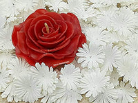 Nava Chiangmai 100 blanco Morera Daisy Flores de papel adornos para álbum de recortes - Arteztik
