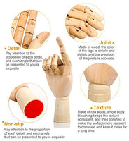 Flexible mano izquierda modelo conjunto, 12" grandes y pequeñas 7" - Arteztik
