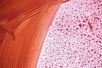 Liquitex Profesional Acrílico textil, fluido de secado lento, efecto retardante - Arteztik
