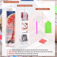XPCARE Juego de pintura de diamante, redondo completo taladro DIY 5D pintura de diamante por número Kits Luna para decoración de pared hogar adultos y niños 12.0 x 12.0 in, HC-502 - Arteztik
