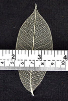 100 pcs. Esqueleto tarjeta de hule natural Hojas Artificial hojas Craft Scrapbook bricolaje hecho a mano adornos decoración arte - Arteztik
