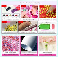 Kit de pintura de diamantes 5D por número, kits de pintura de diamante para adultos, arte de diamantes, pintura de punto de cruz, perforación completa, diamantes de imitación, bordado, arte para decoración de pared del hogar, 14 x 18 pulgadas (Pikachu) - Arteztik
