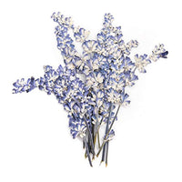 AUEAR, 16 piezas flores secas reales de salvia, flores secas naturales, flores prensadas para álbumes de recortes, adornos - Arteztik
