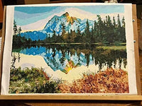 TOCARE Kit de pintura para adultos por Numbers - Arteztik
