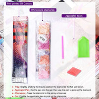 XPCARE Kit de pintura de diamantes, redondo, broca completa, kit de pintura de diamantes 5D por número, para decoración de pared del hogar, adultos y niños, 12 x 12 pulgadas, luna - Arteztik
