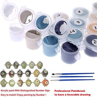 Kit de pintura por número para adultos principiantes, 16.0 x 20.0 in - Arteztik
